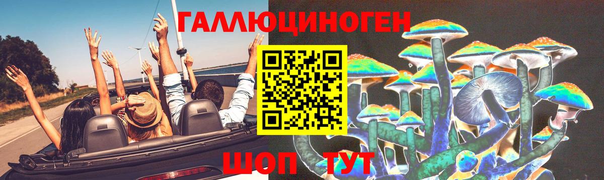 Псилоцибиновые грибы прущие грибы  Вход с VPN  Тайшет 